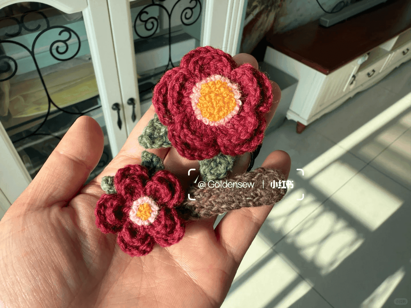 迎接春节的安哥拉红