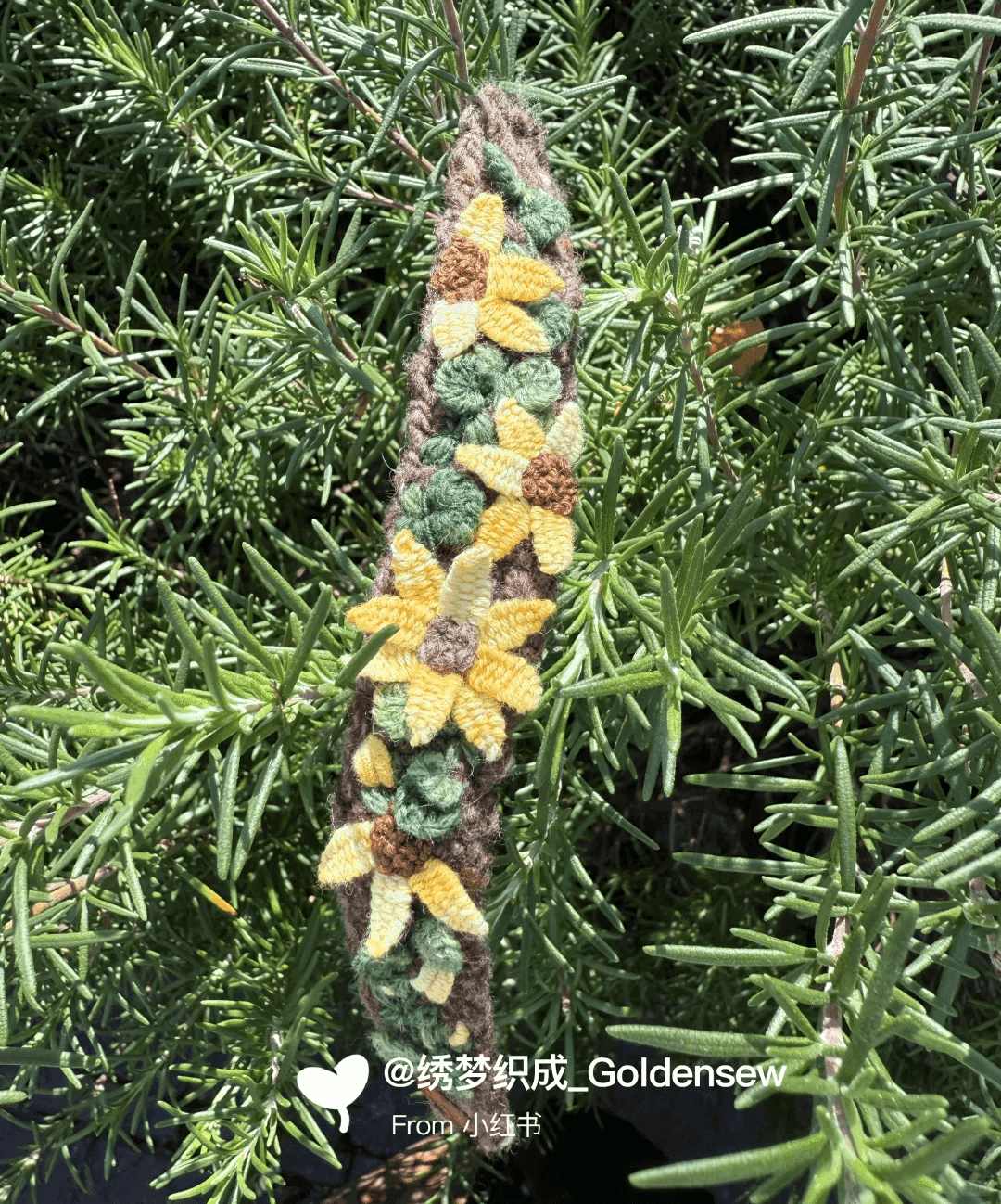 我的新宠，小众又精致，独特又吸睛，谁懂啊！