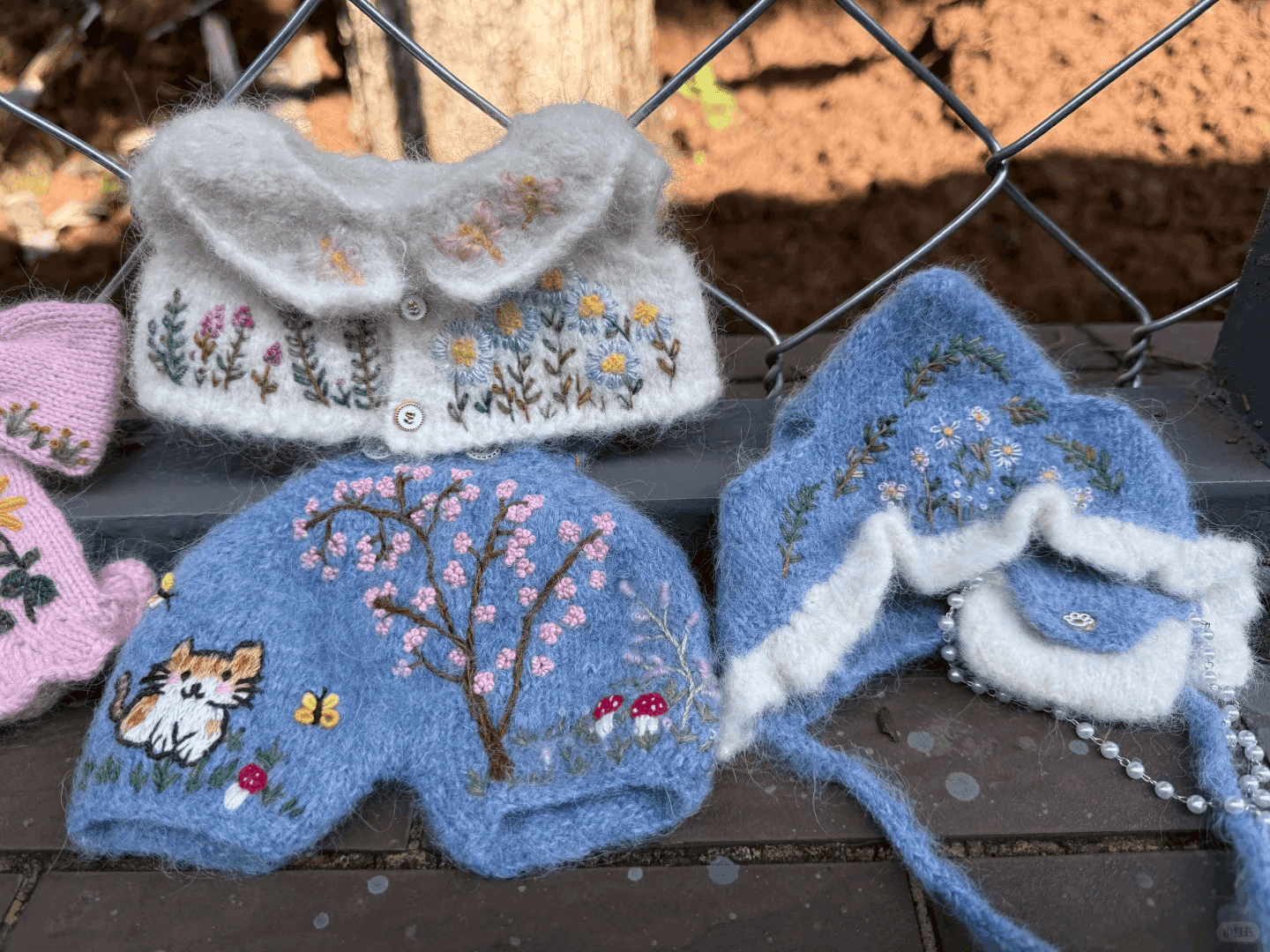 一只流浪的小野猫